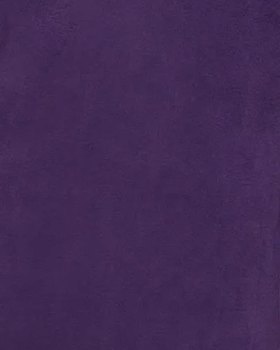 Astrid Polar Fleece Zip Up | Plum