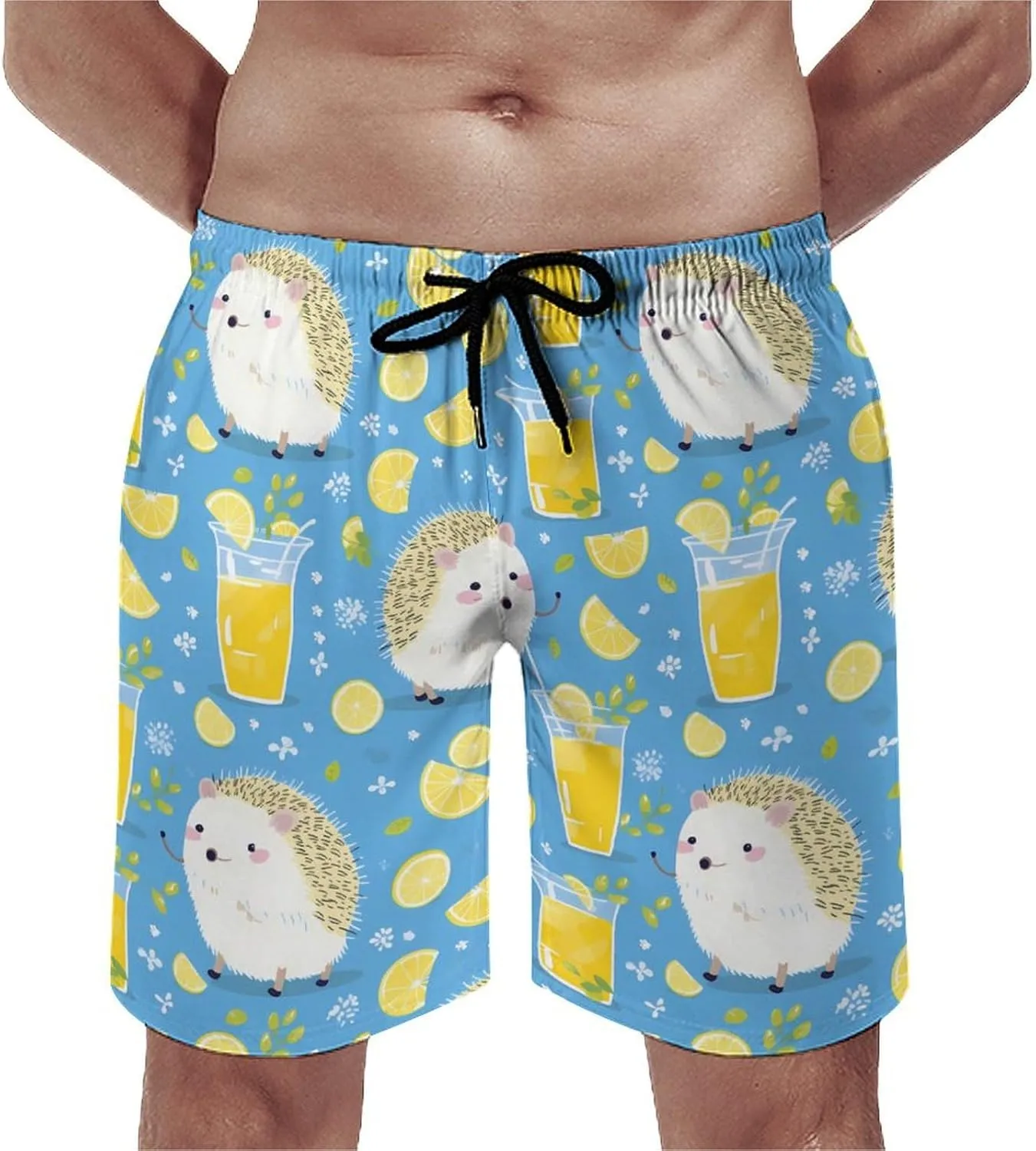Hedgehogs Lemon Drinks Men's Swim Trunks Quick Dry Bathing Suit Swimming Board Shorts Beach Swimwear