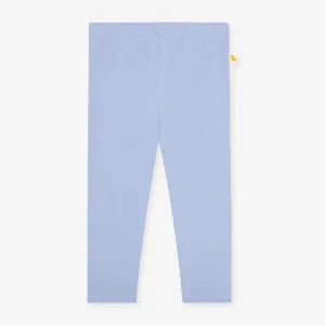 Solid Basic Legging